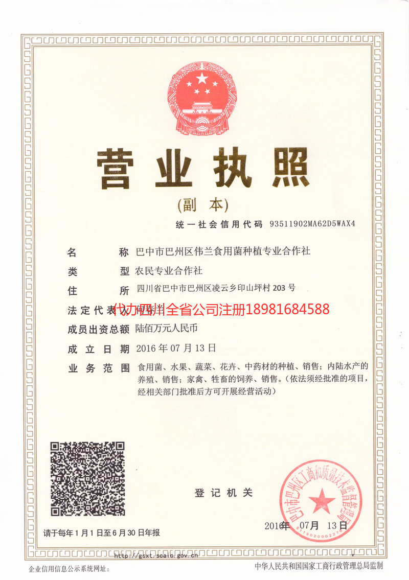 防城港防城港伟兰食用菌种植专业合作社